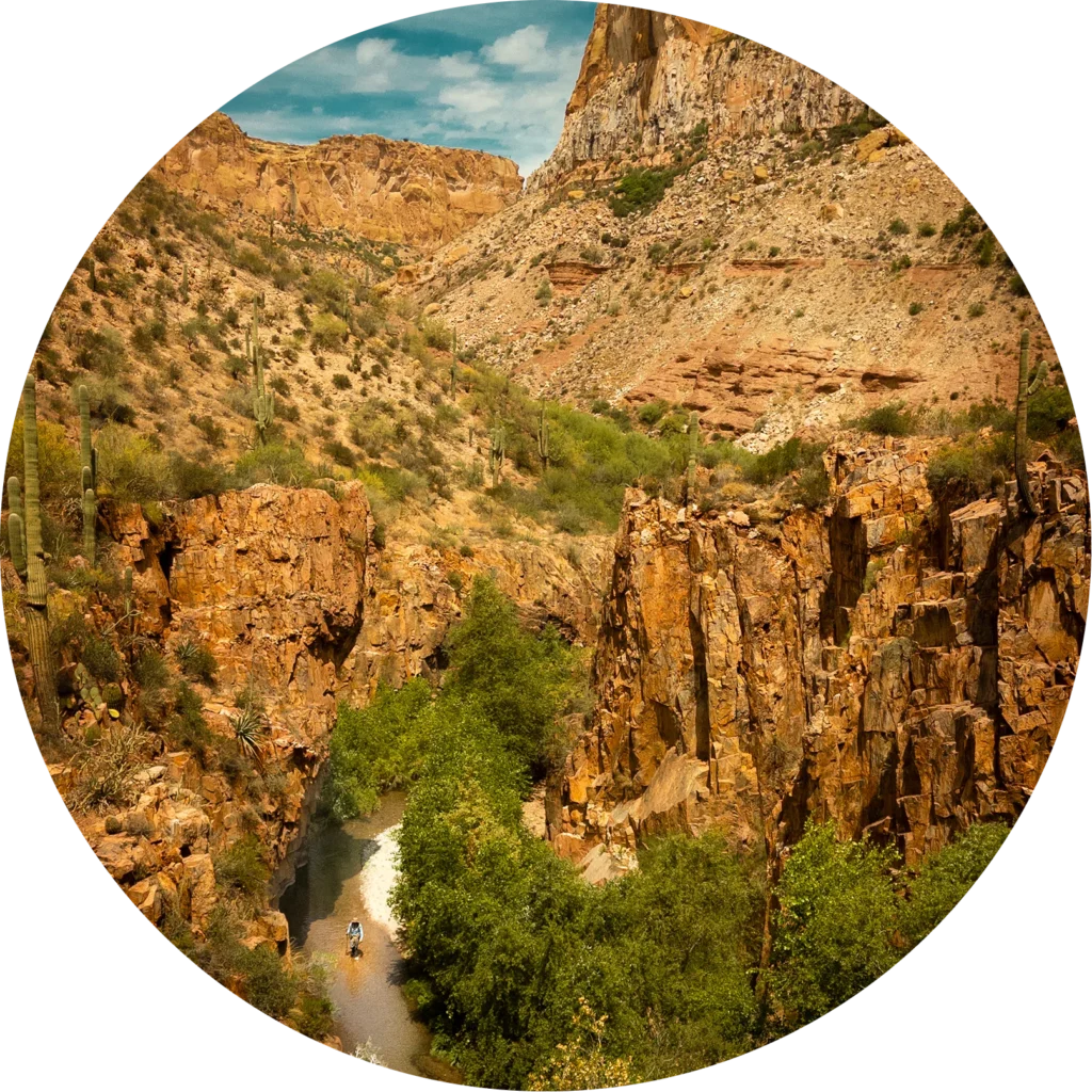 Aravaipa Canyon cliffs above the green creek corridor