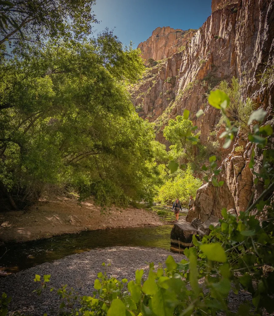 Shaded bend of Aravaipa Creek under green trees and canyon walls