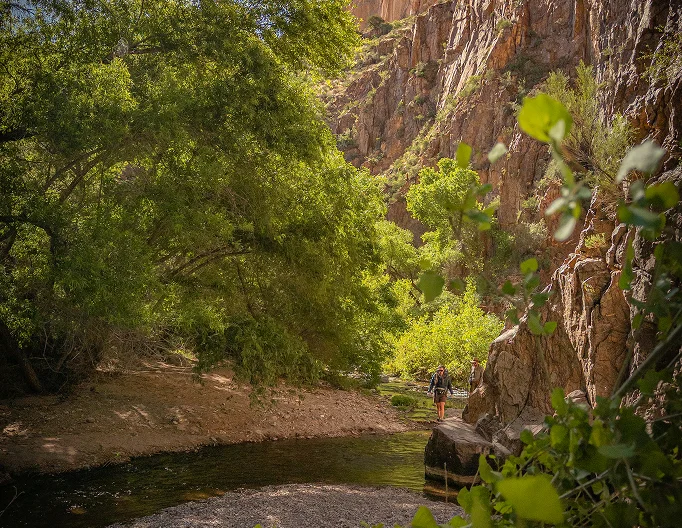 Shaded bend of Aravaipa Creek under green trees and canyon walls