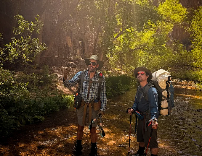 Two backpackers with trekking poles in a sunlit Aravaipa Canyon forest