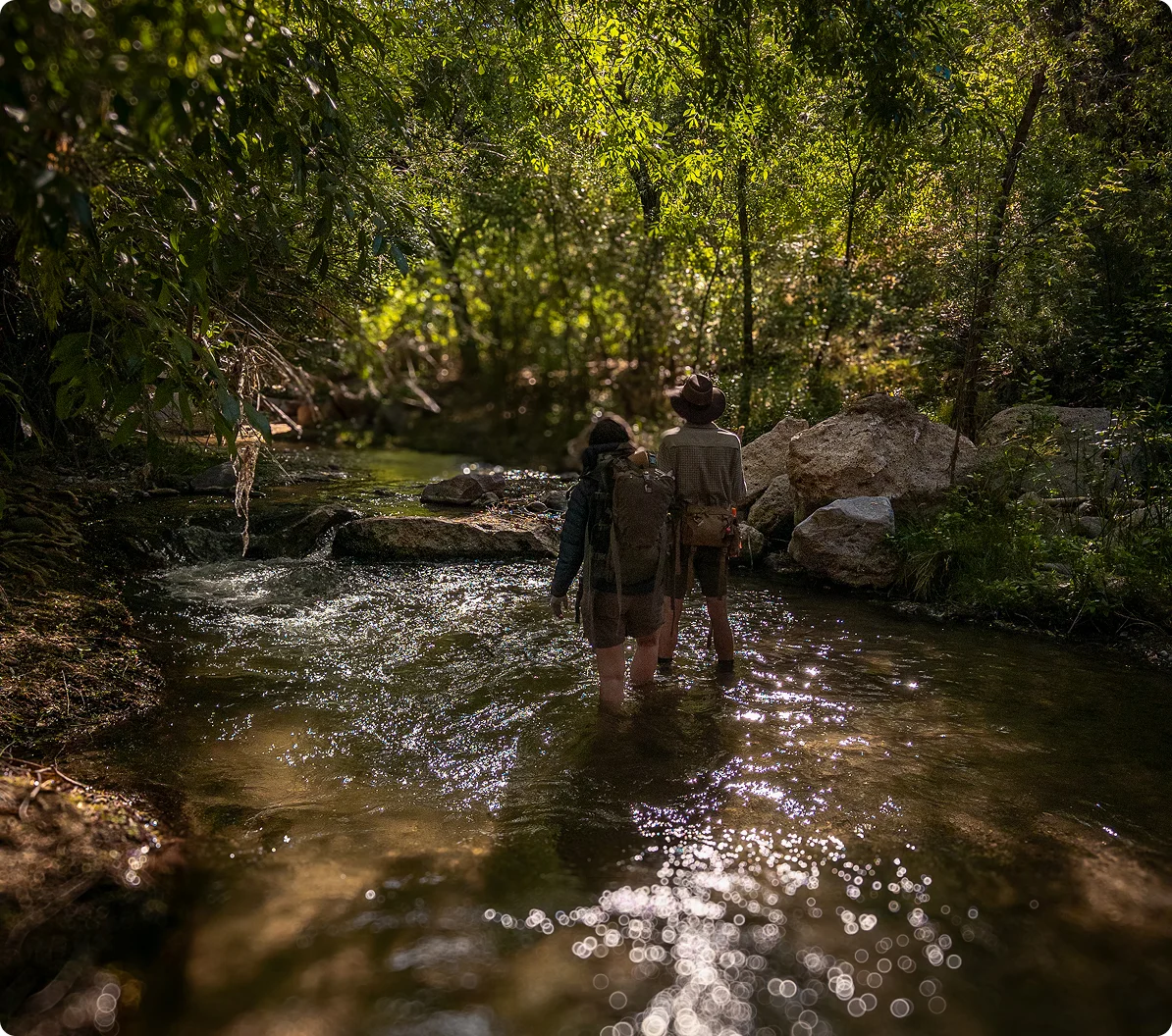Two hikers wading through Aravaipa Creek