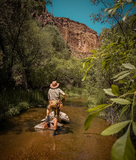 Guide standing in Aravaipa Creek beneath canyon cliffs