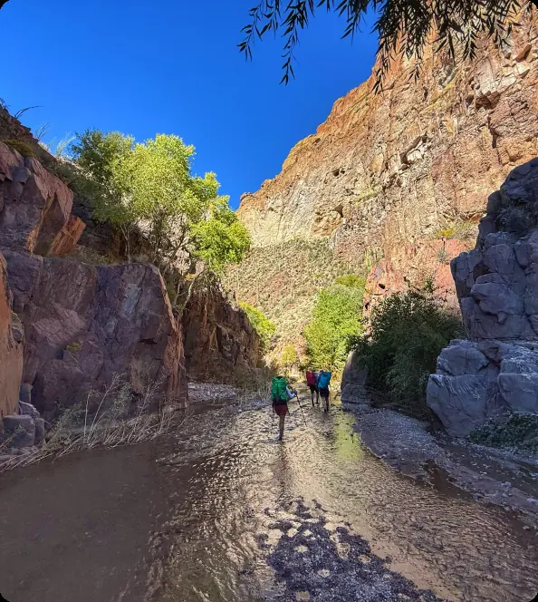 Hikers wading up Aravaipa Creek between canyon walls
